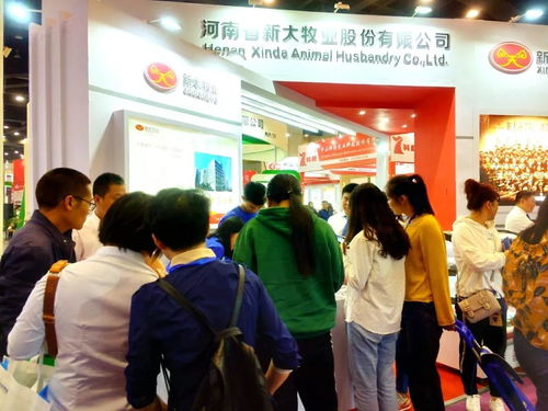 新大智道亮相中原畜牧業交易博覽會，信息咨詢服務引領養豬行業新變革